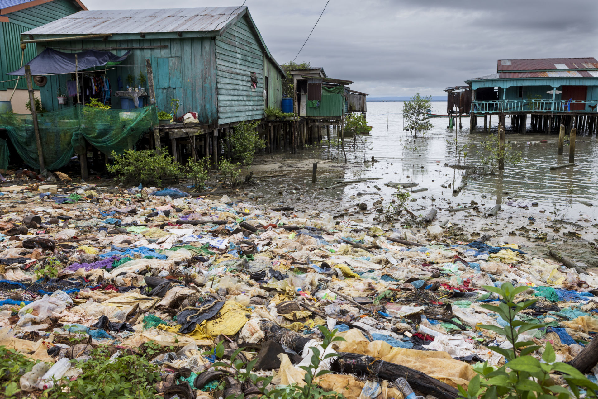 Managing waste for conservation and livelihoods | Fauna & Flora