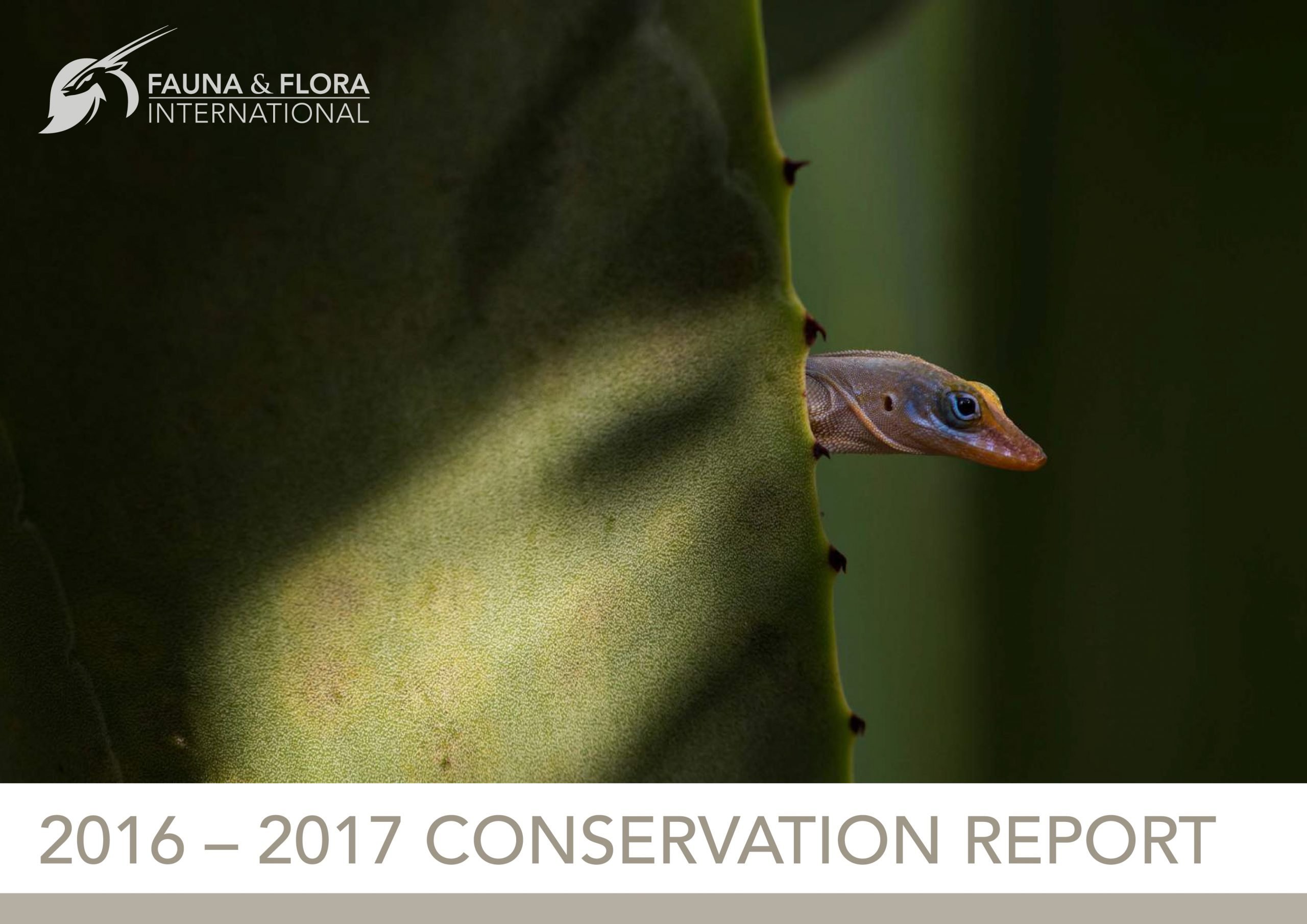 2016-2017 Conservation Report