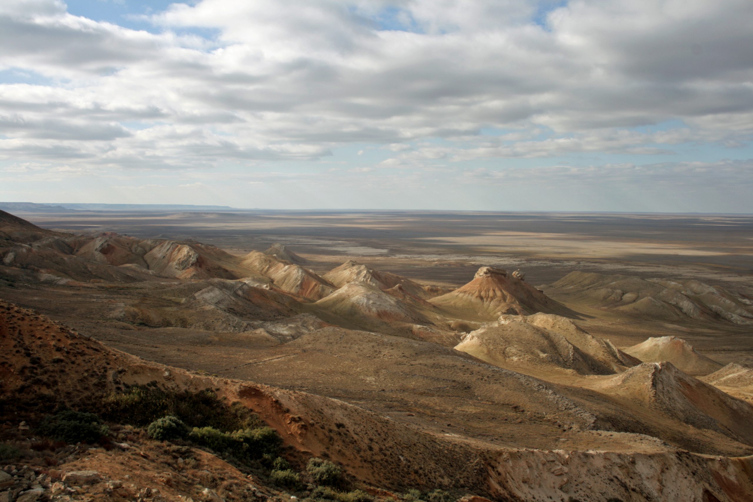 Fauna & Flora's conservation work in Kazakhstan