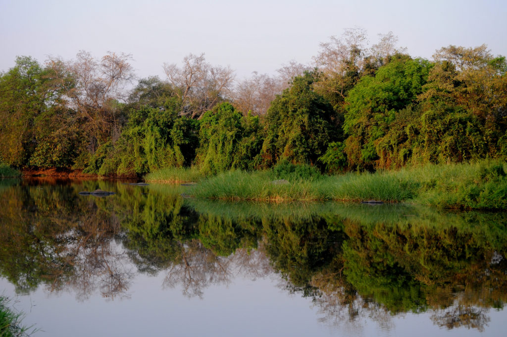 Fauna & Flora's conservation work in South Sudan